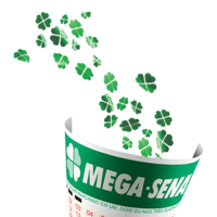 mega sena bolão