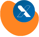 LOGO RAPIDEX 1